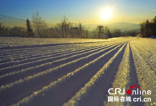 供稿已过【大美龙江】初冬的雪