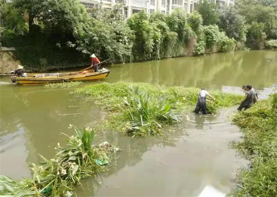 苏州姑苏区深入开展水环境治理 还原苏式枕河人家风貌_fororder_图片1