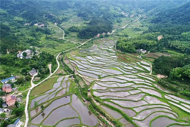 【湖北】【客户稿件】黄冈蕲春筑牢“三农”底盘 锚定乡村振兴