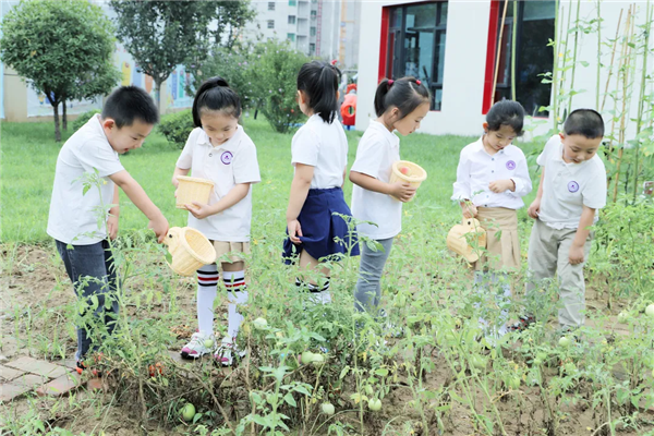 【落实“双减”看高新】西安高新一幼“名校+”助力打造学前教育的良好生态_fororder_mtxx01