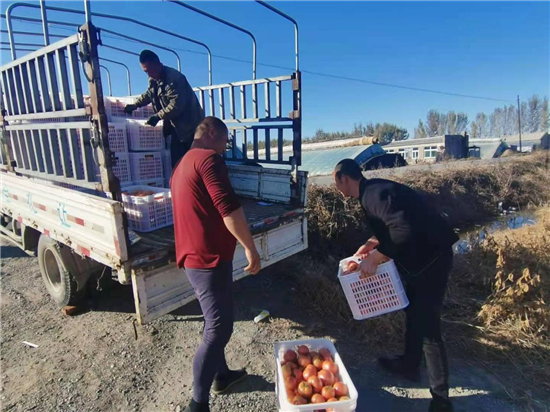 沈阳辽中区：金秋迎丰年 百姓笑开颜_fororder_辽中4