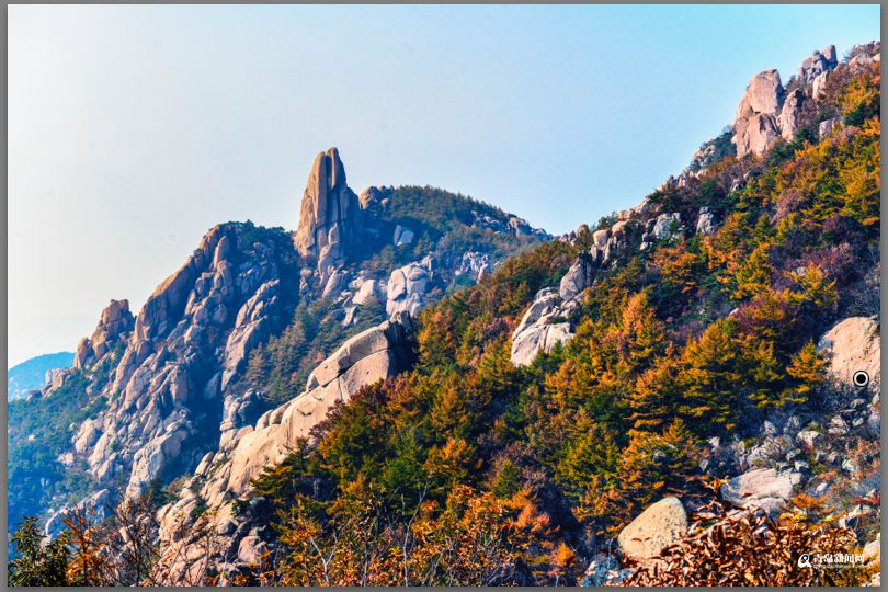 青岛：彩叶模式初迎高潮 周末去巨峰看五花山