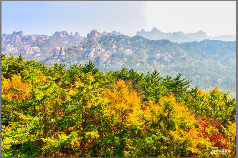 青岛：彩叶模式初迎高潮 周末去巨峰看五花山