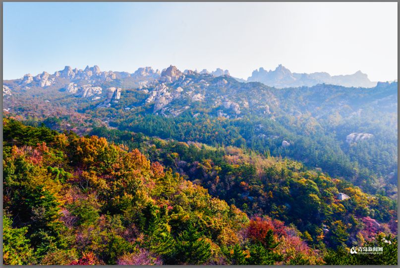 青岛：彩叶模式初迎高潮 周末去巨峰看五花山