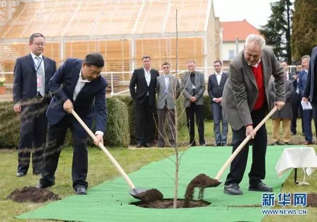 建交以来首次！习近平访捷克背后有何深意？