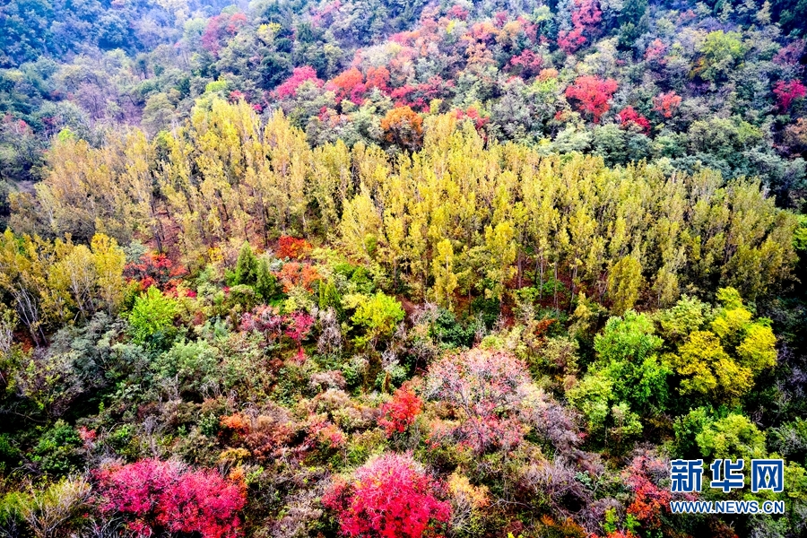 河南济源：秋染南山 色彩斑斓