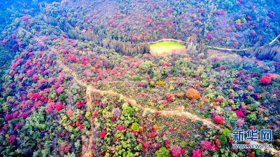 河南济源：秋染南山 色彩斑斓