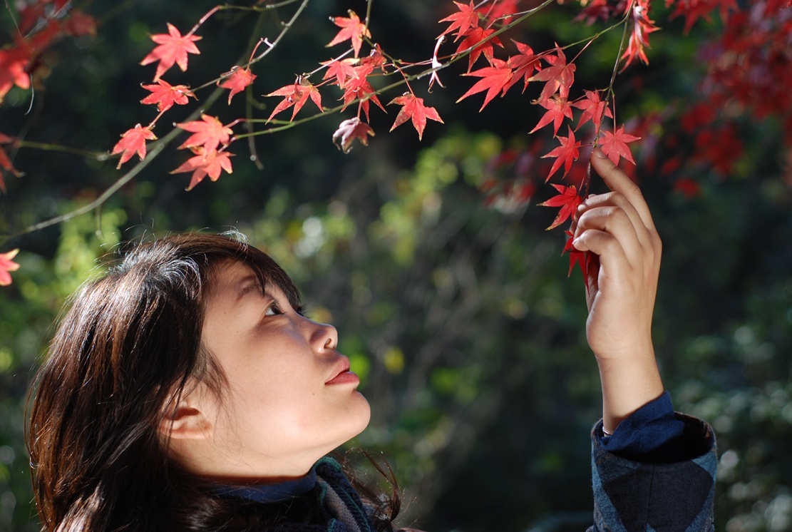 扬州：清风吹红叶 古城秋意浓