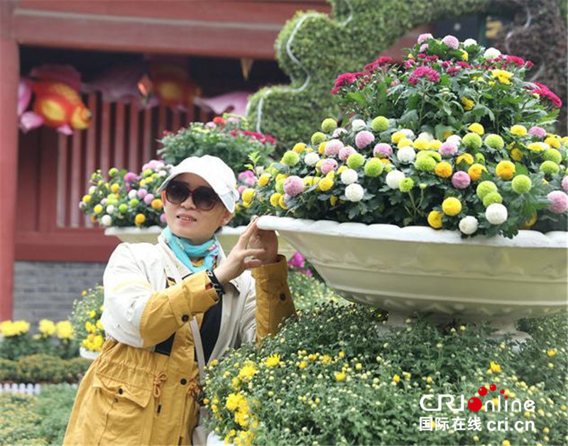 中国开封第十届国际菊花展在清明上河园开幕_fororder_游客拍照留影 摄影 万庆丽.JPG