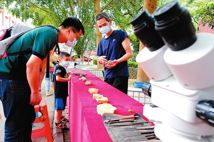 国际博物馆日南宁各大博物馆推出多彩活动吸引市民参与互动