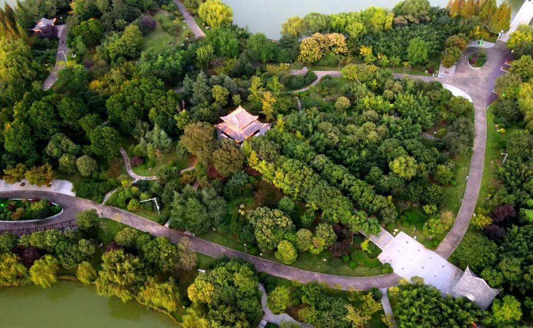 徐州市泉山区：秋染云龙湖 景色美如画