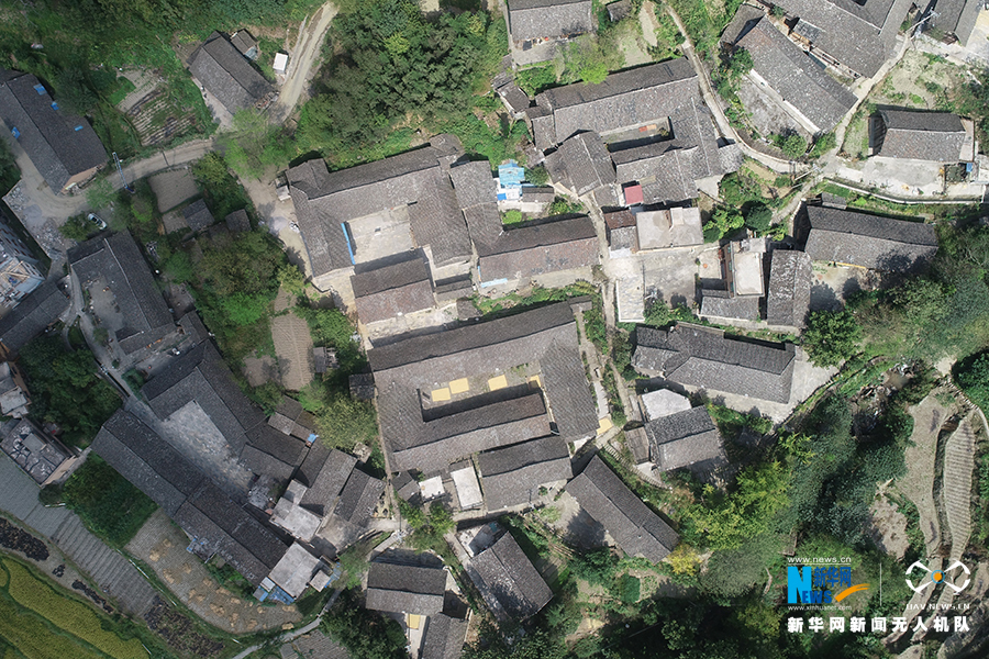 【城市远洋带图】重庆：秋雨过后红叶美 绚丽秋景惹人醉