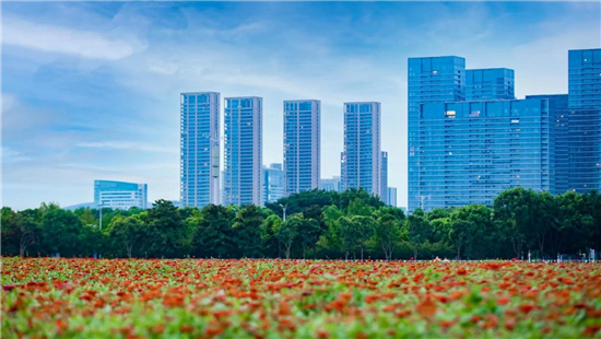 无锡市蠡湖街道：生态品质提升变“荒地”为“花海”_fororder_图片6_副本