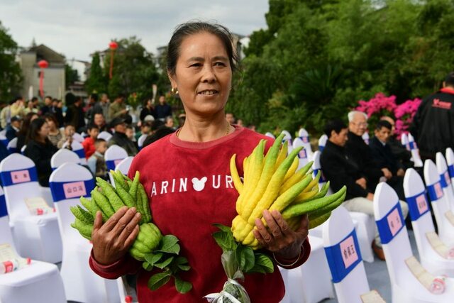 庆丰年奔共富 2021金华赤松佛手丰收节开幕