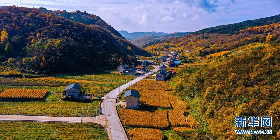 湖北巴东：秋日乡村路斑斓如画