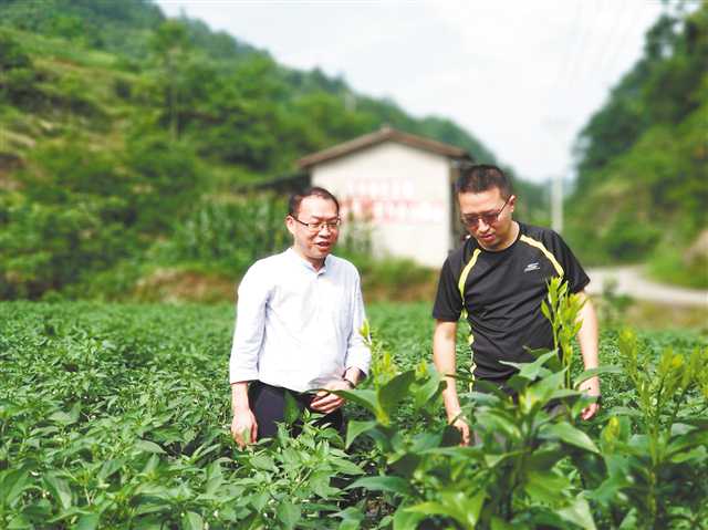 决战决胜脱贫攻坚丨直播扶贫故事 诠释政协担当