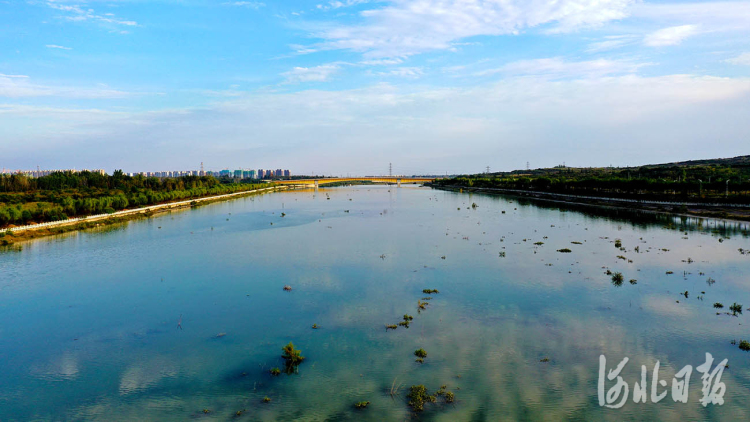 河北邢台：七里河市区段首次实现全线蓄水