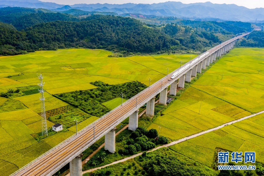 秋日南国| 大地铺金舞银蛇