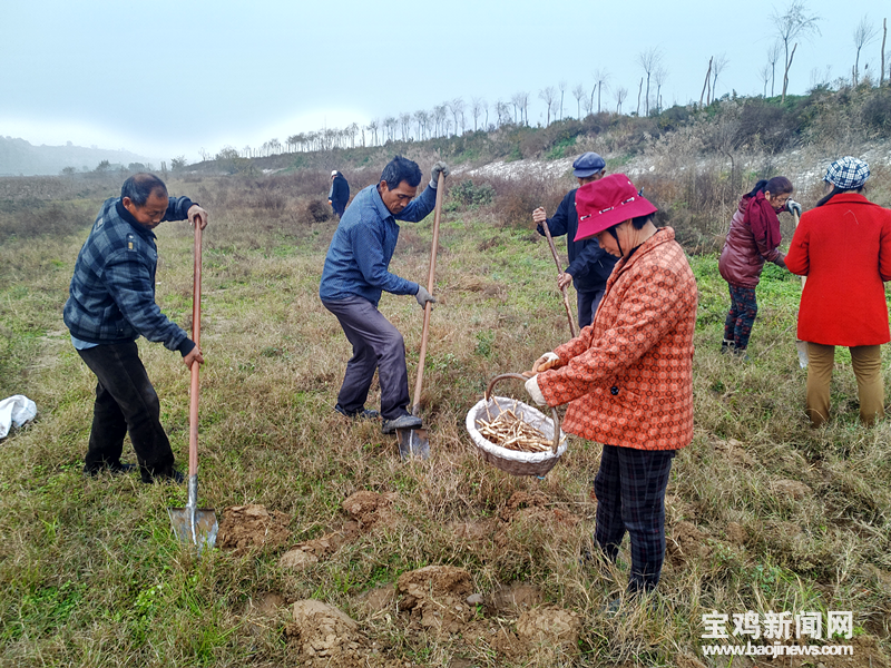 【三秦大地 宝鸡】陕西省宝鸡市眉县：湿地绿植改环境 荒山荒坡换新颜