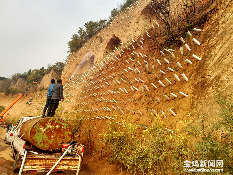 【三秦大地 宝鸡】陕西省宝鸡市眉县：湿地绿植改环境 荒山荒坡换新颜