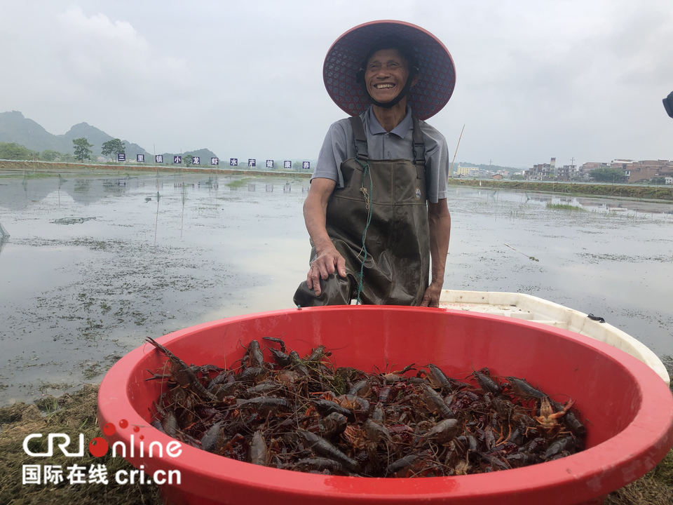 【A】2020年“中国旅游日”南宁主会场暨上林生态旅游养生节开幕