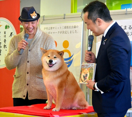 日本网红柴犬人气高 当旅游大使获政要接见(图)