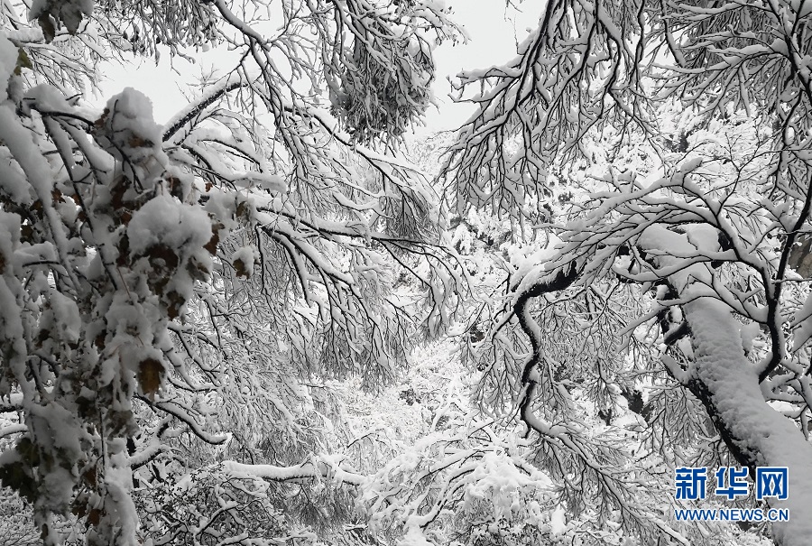 平顶山鲁山：尧山雪景美如画