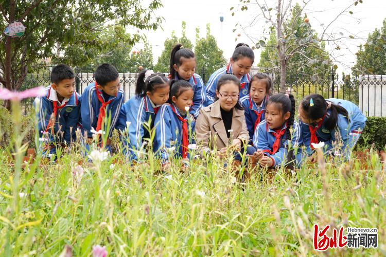 河北：感受传统医药文化