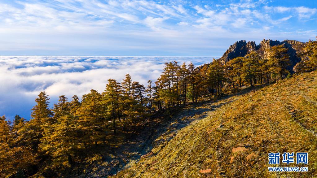 赏芦芽秋色 观漫山云海