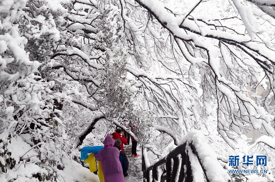 平顶山鲁山：尧山雪景美如画