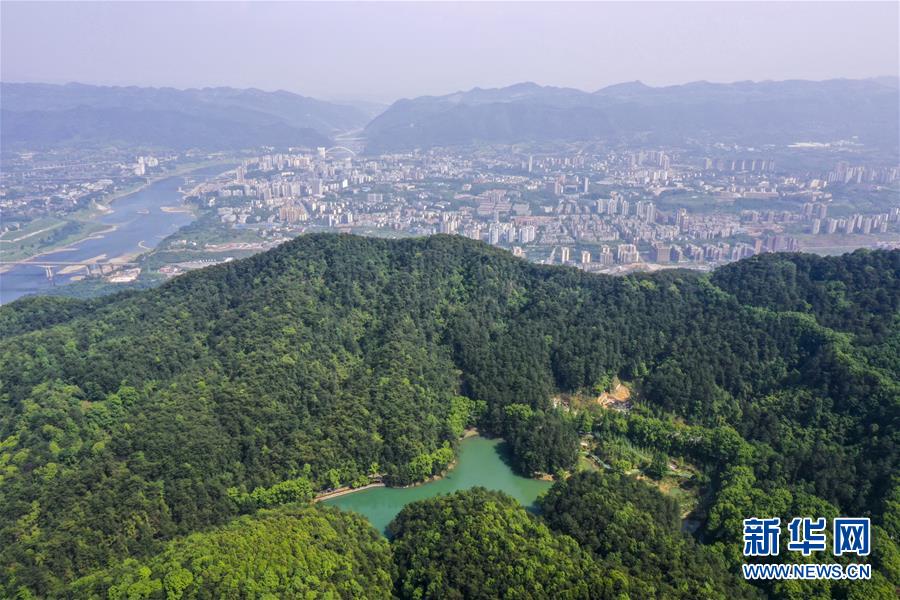 【城市远洋】【焦点图】【渝情渝景】重庆缙云山：绿意盎然生态美