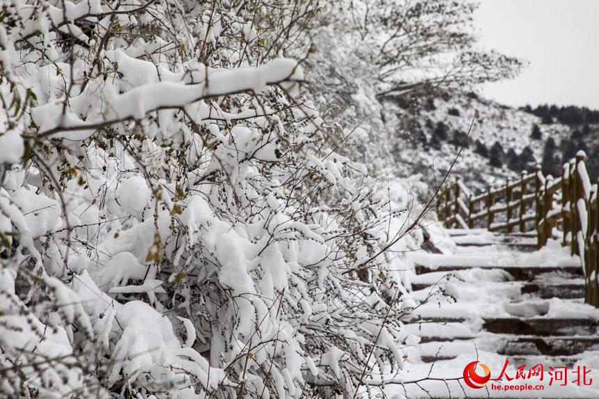 白雪皑皑银装素裹 河北各地迎来今冬“初雪”