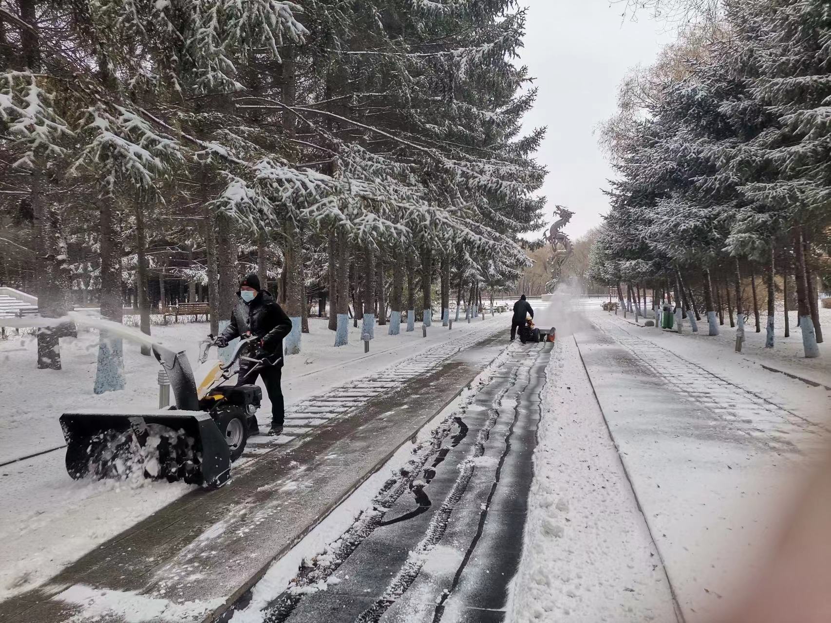 提前预判早准备 哈尔滨市平房区主干街路清雪完毕_fororder_1