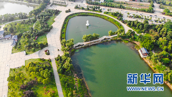 鸟瞰盛夏二乔公园 湖水碧绿草木葱茏