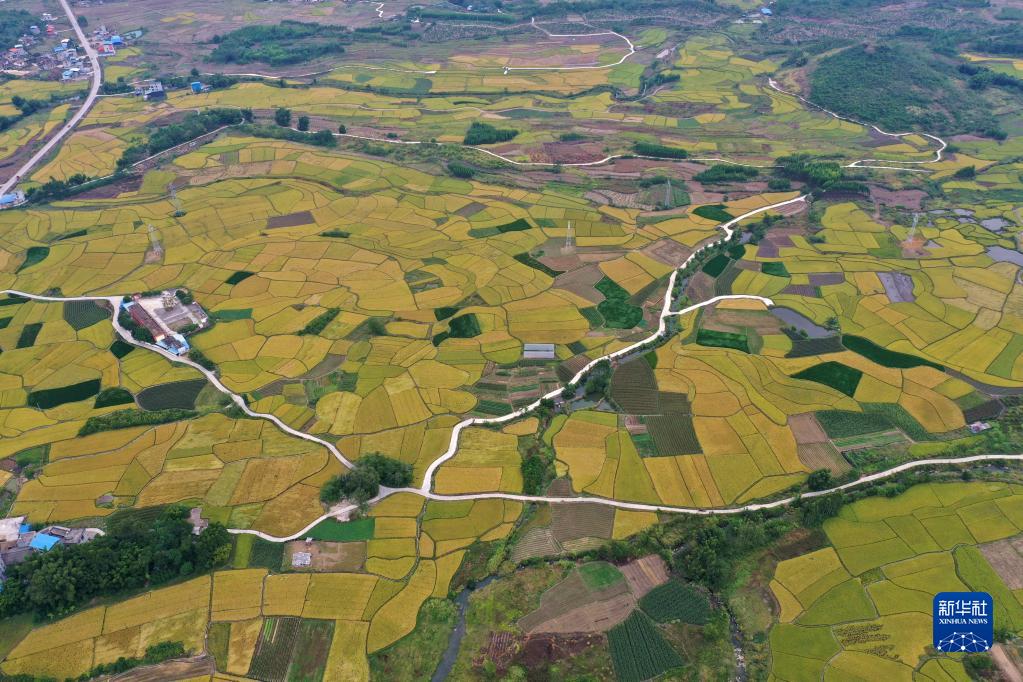 广西：秋日田园美