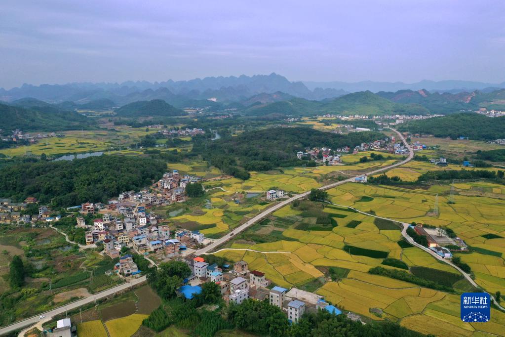 广西：秋日田园美