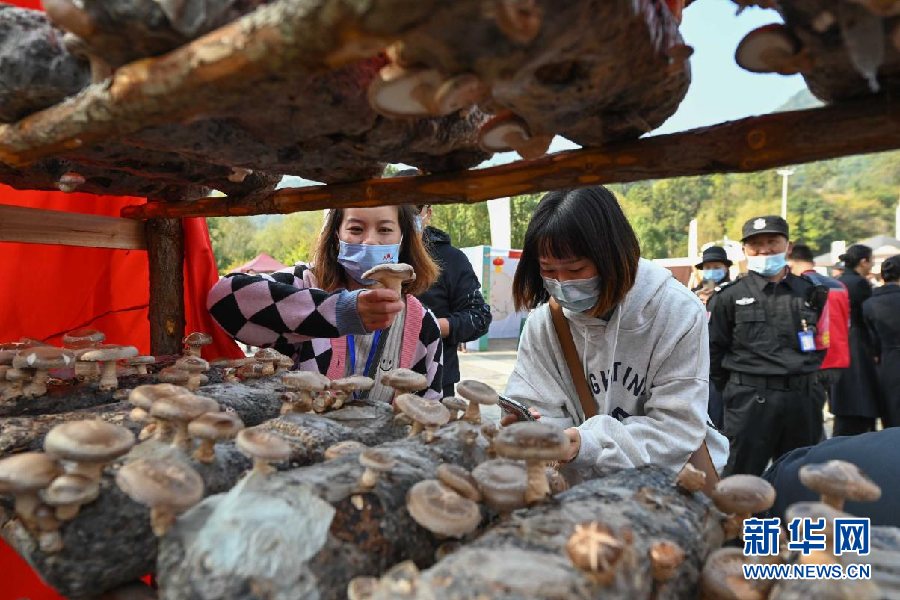 湖北随州举办文化旅游产业发展大会 推进全域旅游发展