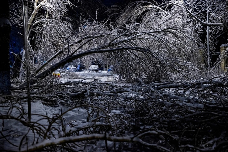 迎战大风雪！黑龙江省消防救援总队以实际行动“奋战”在第三十个消防日_fororder_1.webp