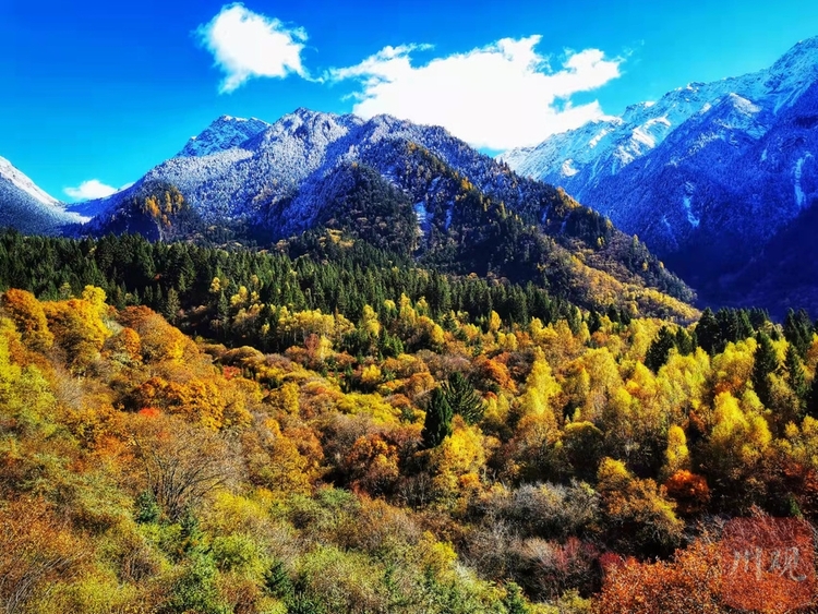 （中首）左手雪景，右手彩林，与初冬的九寨沟开启时空浪漫之旅！