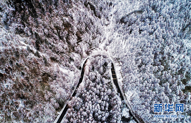 立冬初雪扮靓鄂西万亩林海