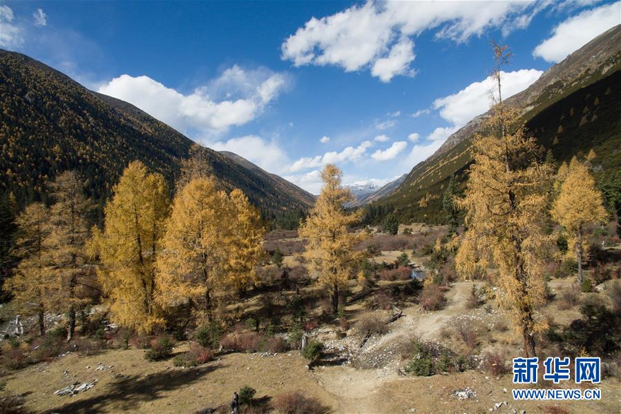 走近雅拉雪山