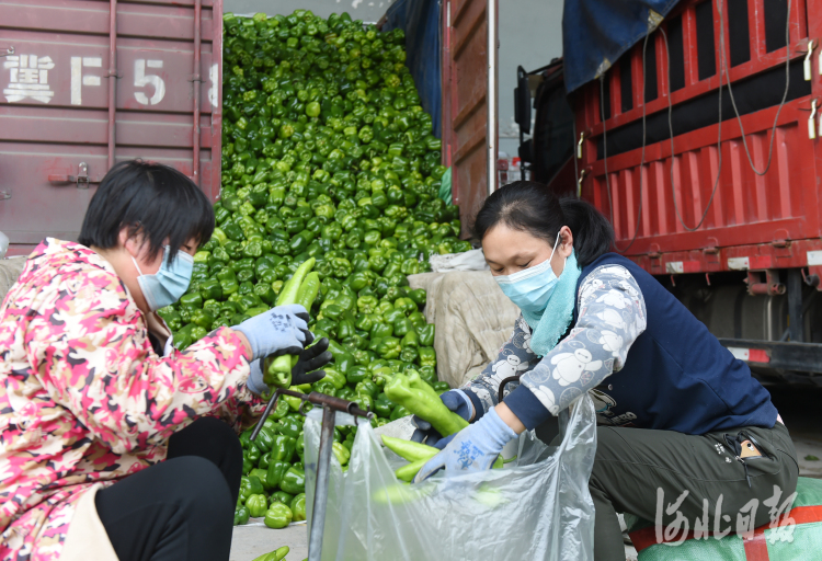 河北石家庄：保障生活物资平稳供应