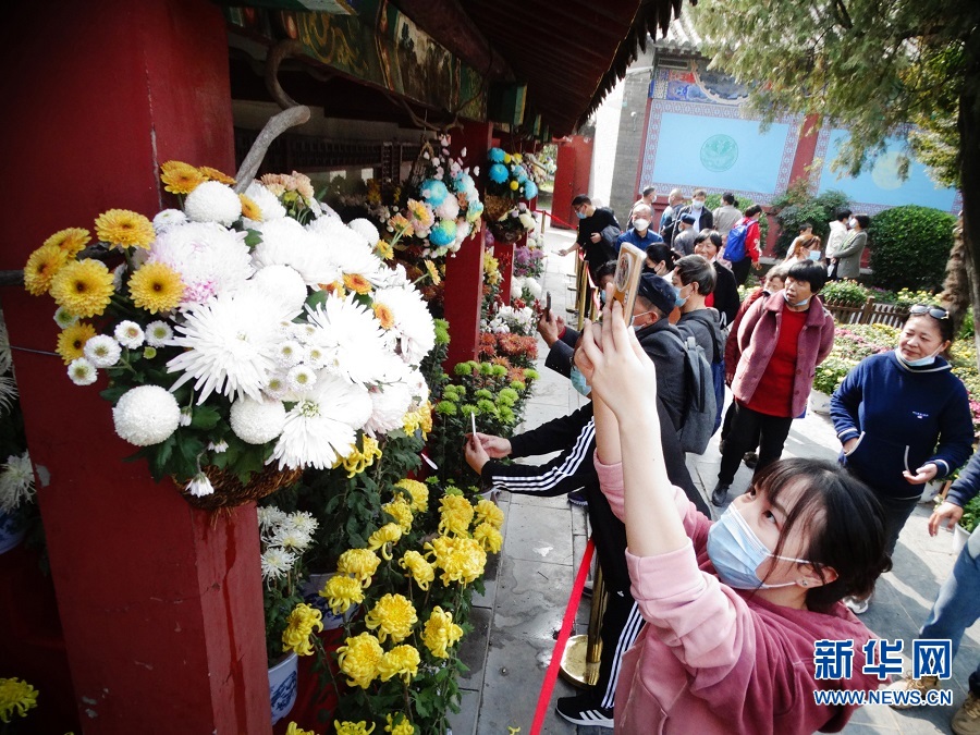 河南开封：金秋菊香游人乐