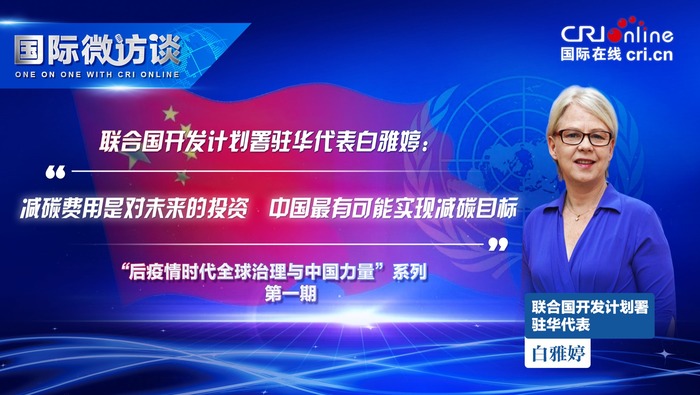 【国际微访谈】联合国开发计划署驻华代表：减碳费用是对未来的投资　中国最有可能实现减碳目标