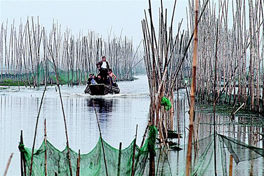 洪湖：拆围还湖美景重现