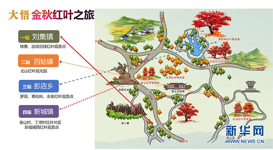 湖北大悟乌桕染红 大别山五彩斑斓如天然画卷