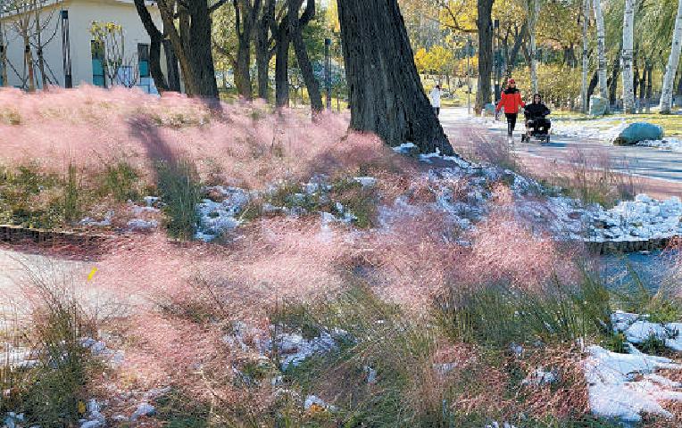 龙潭施粉黛 游客花中游