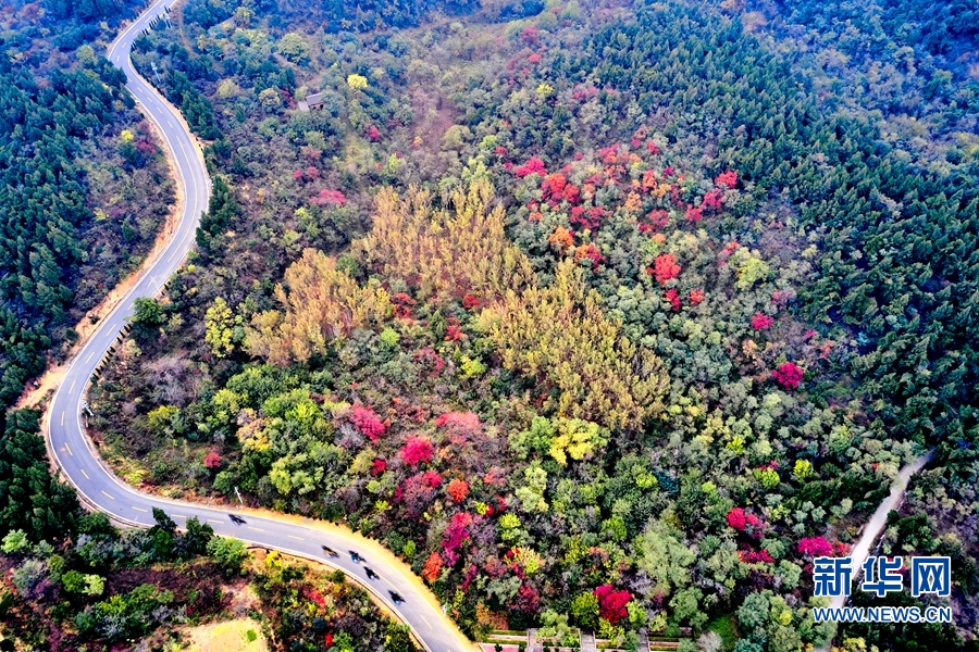 河南济源：秋染南山 色彩斑斓