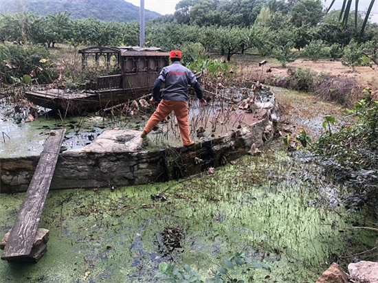 环境清洁让无锡市惠山区阳山镇阳山村焕发新光彩_fororder_图片14