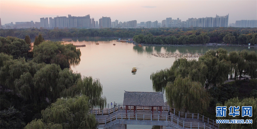 河南洛阳：“城市绿肺”秋色怡人